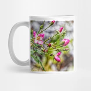 Miniature Rose Bush in winter Bloom Mug